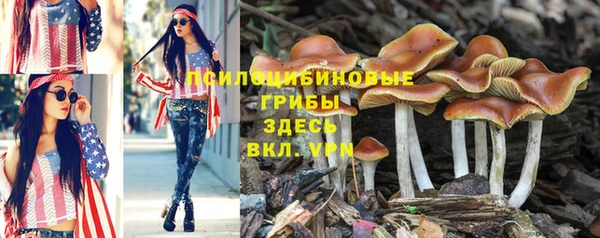 индика Абинск