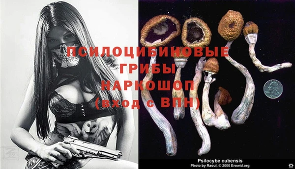 ешки Абаза