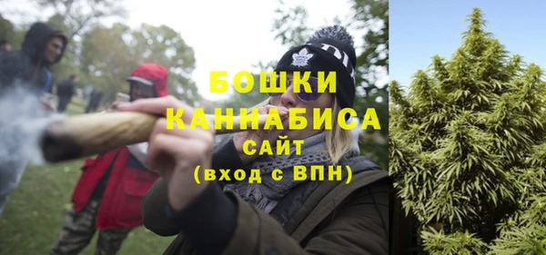 спайс Ладушкин