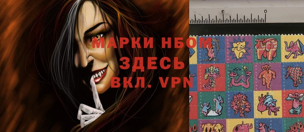 индика Абинск