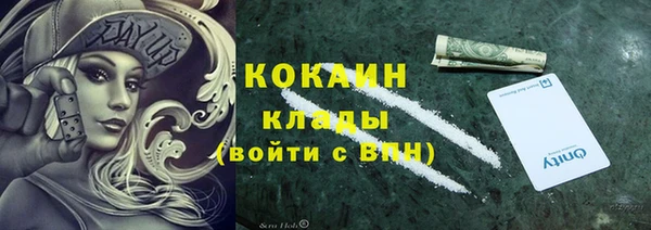 индика Абинск