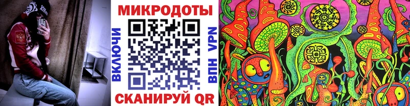 Псилоцибиновые грибы Cubensis хочу Яхрома